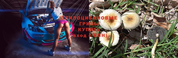 дживик Гусь-Хрустальный