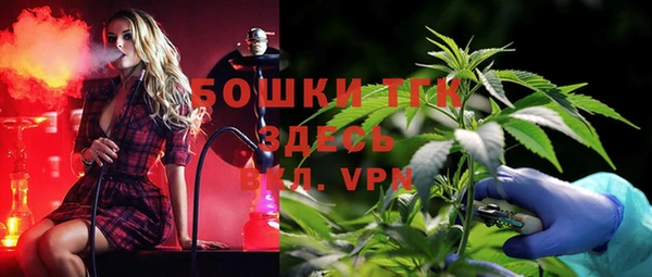 не бодяженный Туринск